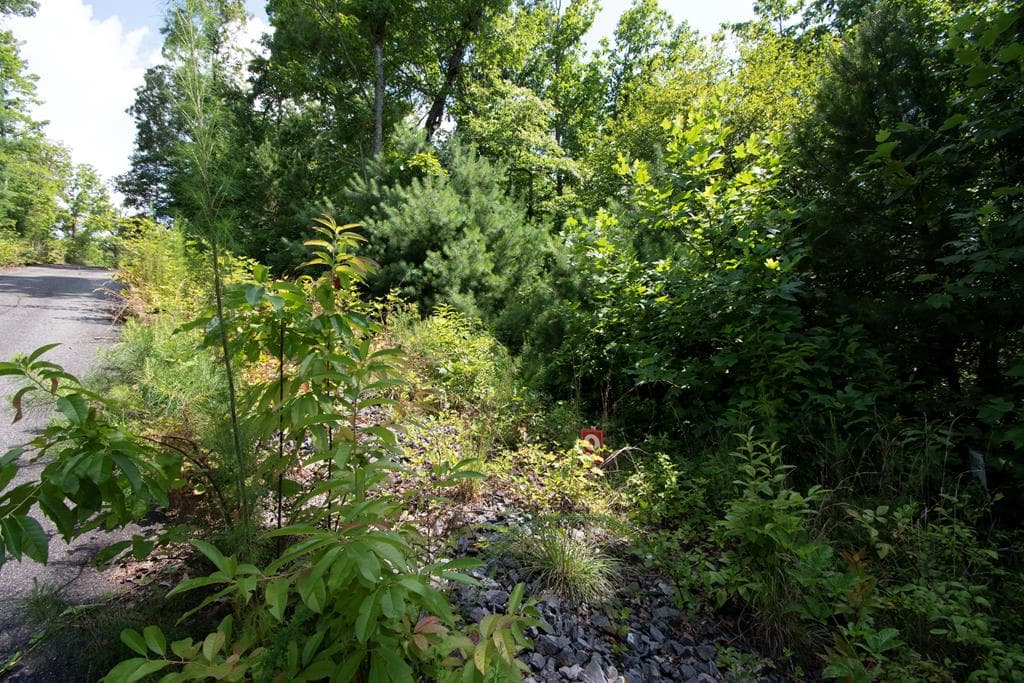 850 Bluff Road, Marble NC 28905 - Photo