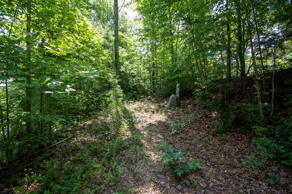 850 Bluff Road, Marble NC 28905 - Photo