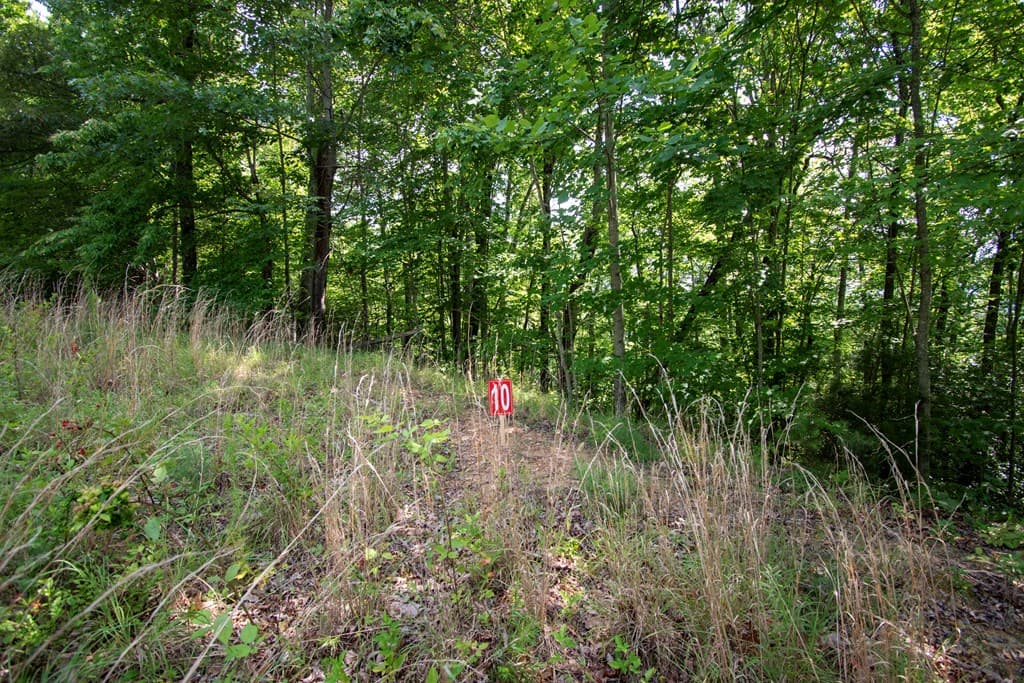 850 Bluff Road, Marble NC 28905 - Photo
