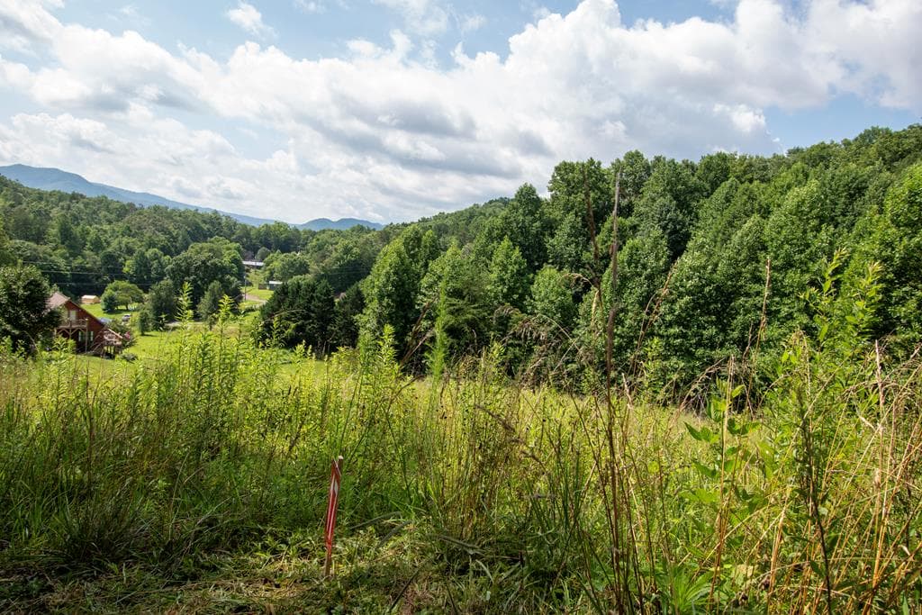 850 Bluff Road, Marble NC 28905 - Photo