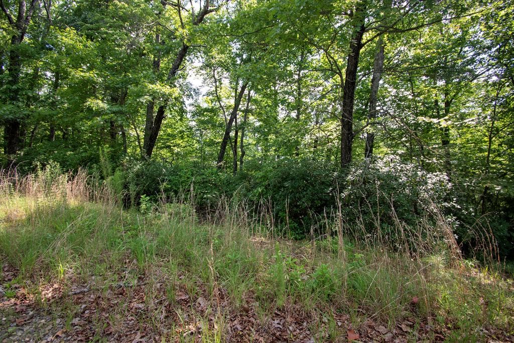 850 Bluff Road, Marble NC 28905 - Photo