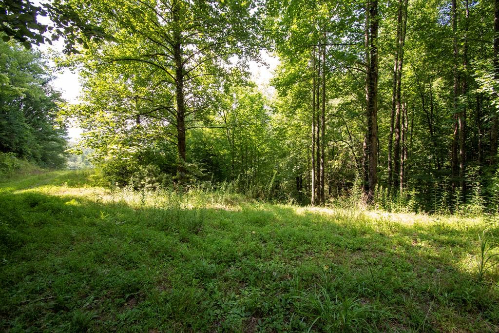 850 Bluff Road, Marble NC 28905 - Photo