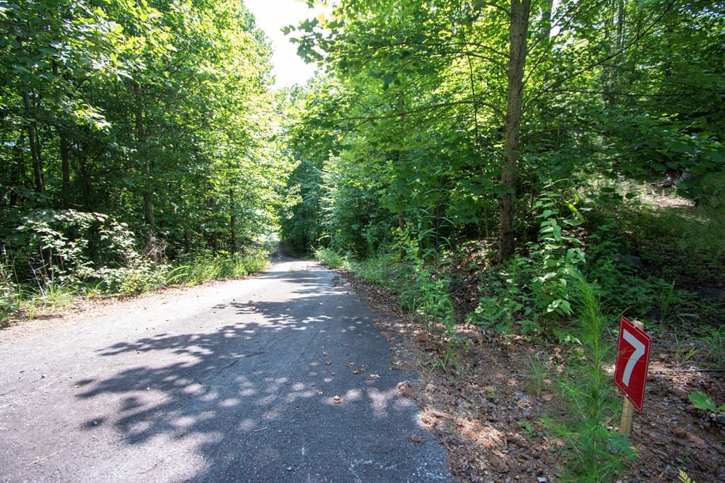 850 Bluff Road, Marble NC 28905 - Photo