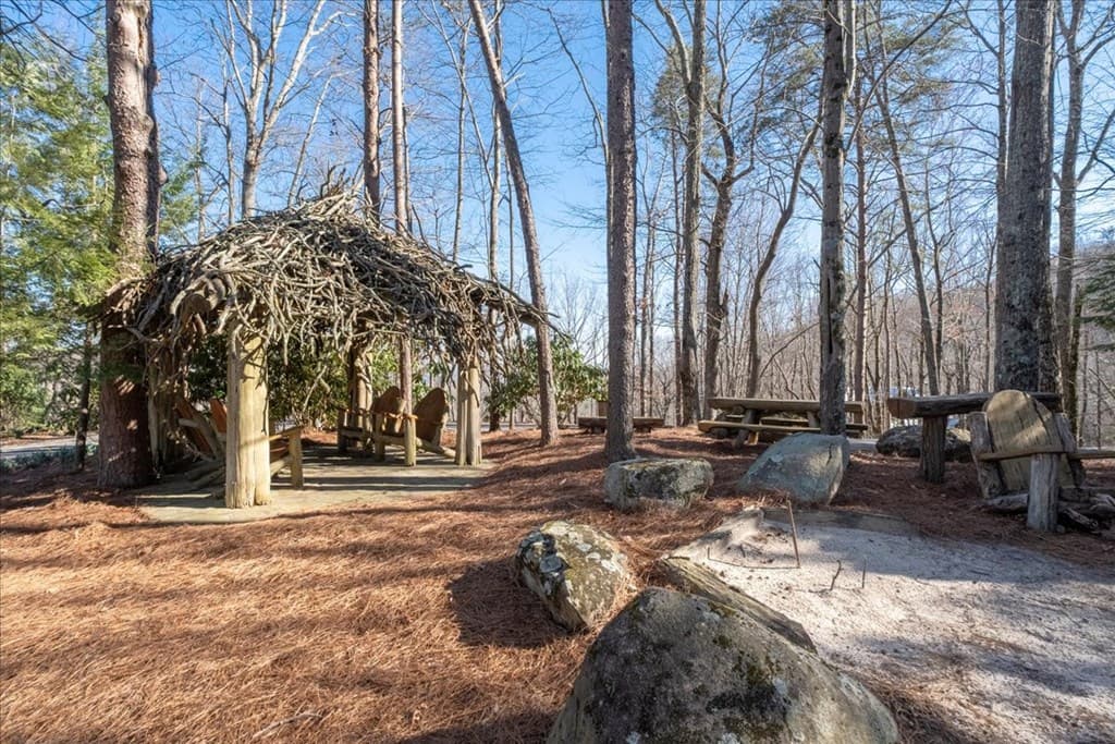 207 Utana Bluffs Trail, Ellijay GA 30540 - Photo
