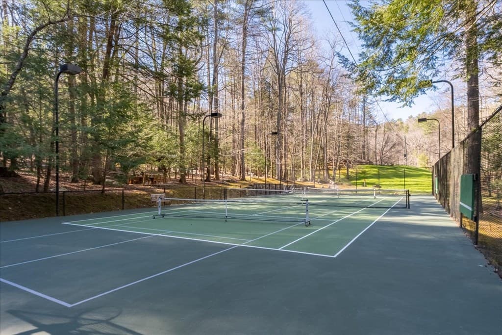 207 Utana Bluffs Trail, Ellijay GA 30540 - Photo