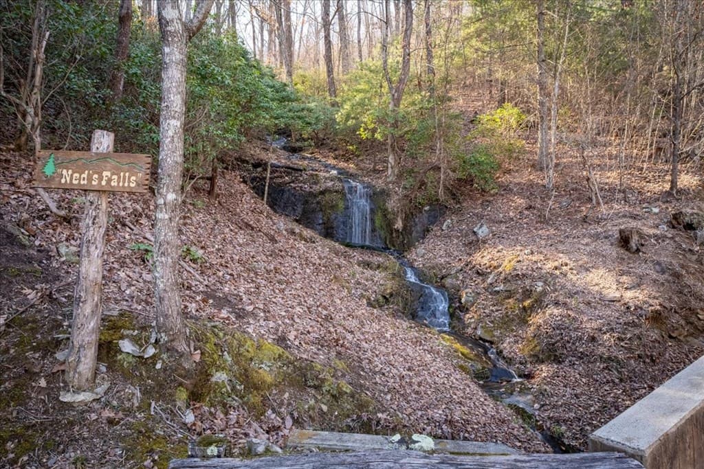 207 Utana Bluffs Trail, Ellijay GA 30540 - Photo
