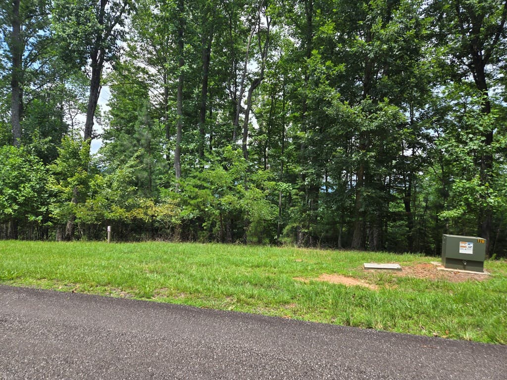 Lt 95 Thirteen Hundred, Blairsville GA 30512 - Photo