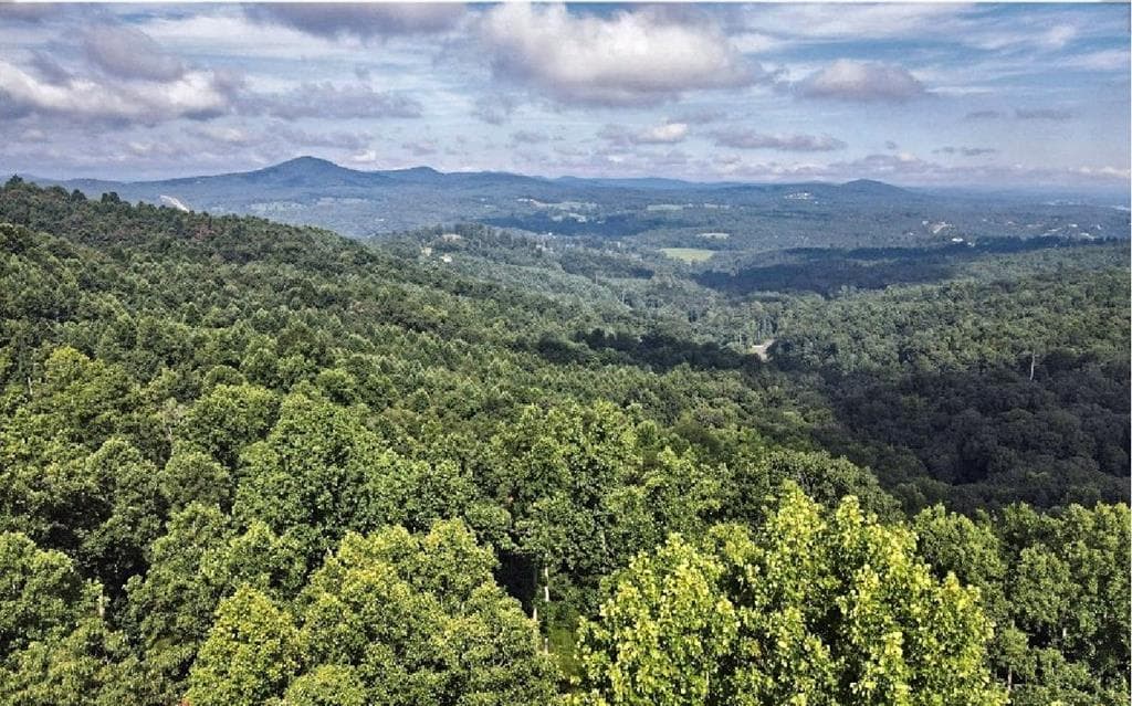 Lt 95 Thirteen Hundred, Blairsville GA 30512 - Primary photo