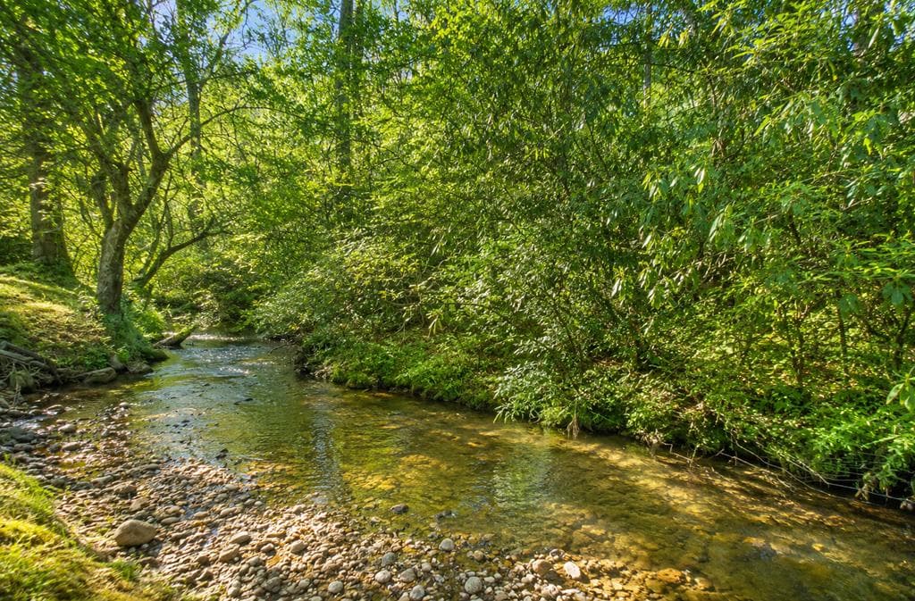 2086 Burnt Mountain Road, Ellijay GA 30536 - Photo
