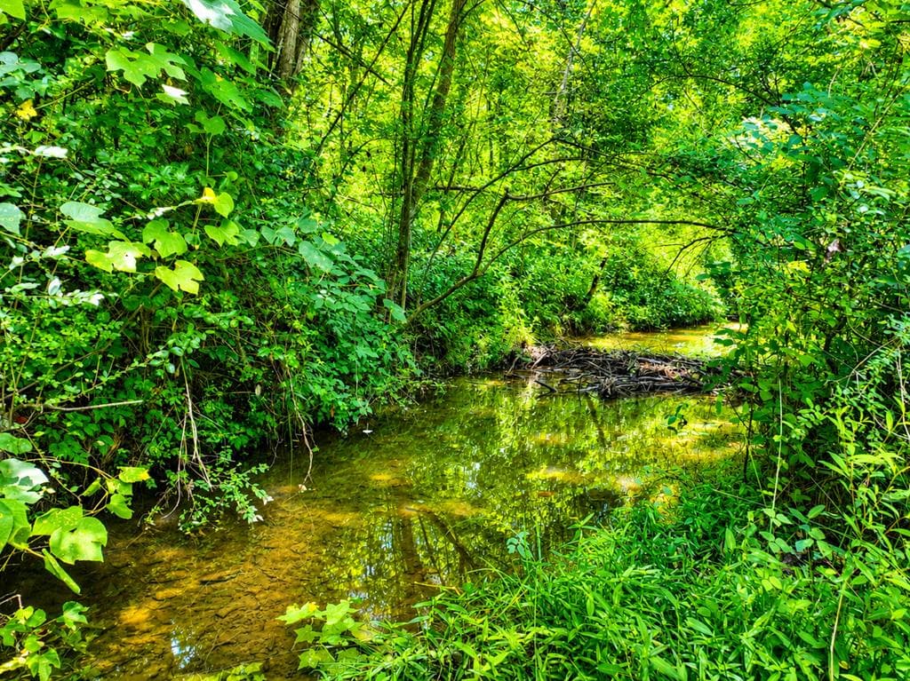 2086 Burnt Mountain Road, Ellijay GA 30536 - Photo