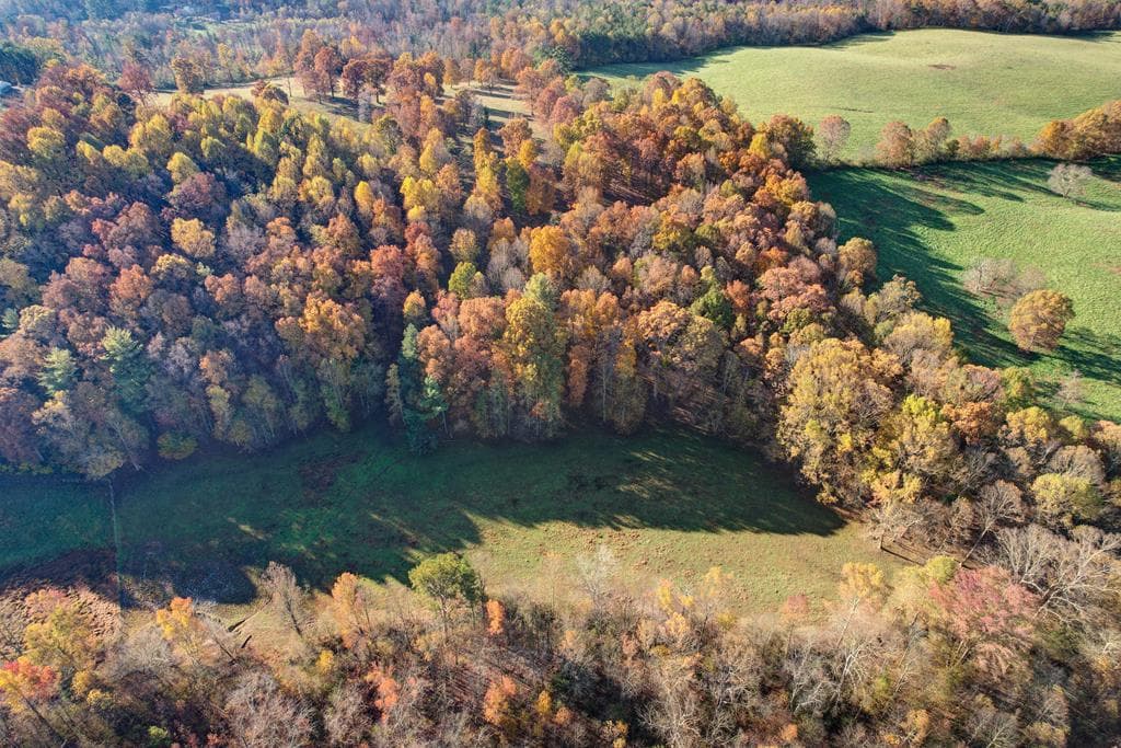 2086 Burnt Mountain Road, Ellijay GA 30536 - Photo