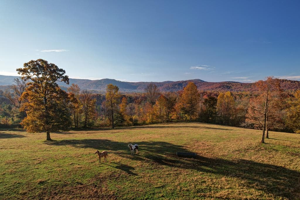 2086 Burnt Mountain Road, Ellijay GA 30536 - Photo