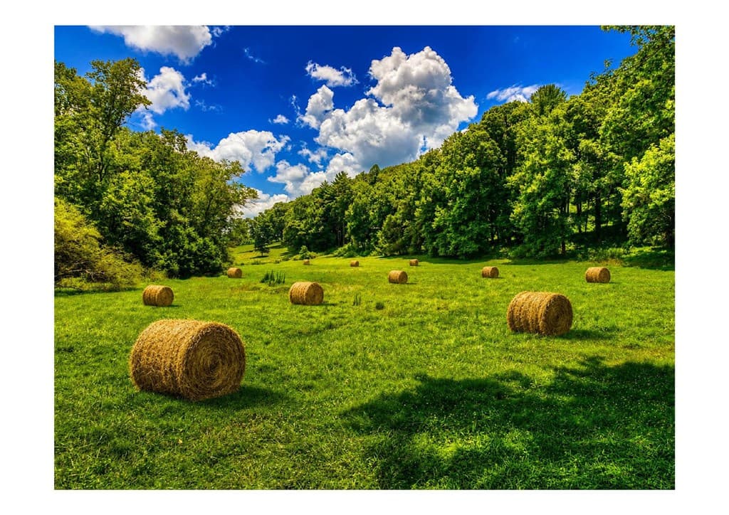 2086 Burnt Mountain Road, Ellijay GA 30536 - Photo