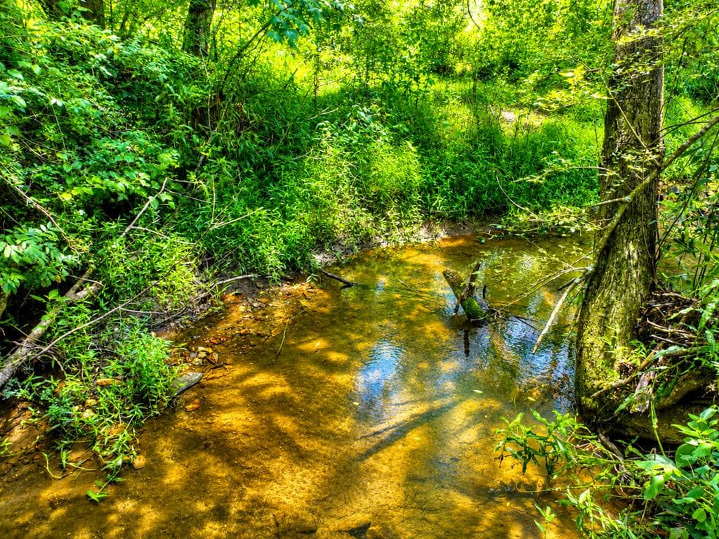 2086 Burnt Mountain Road, Ellijay GA 30536 - Photo