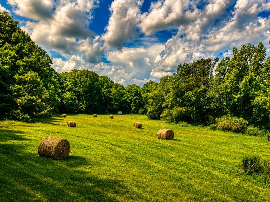 2086 Burnt Mountain Road, Ellijay GA 30536 - Photo