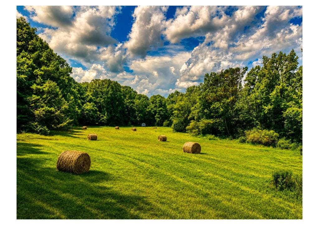 2086 Burnt Mountain Road, Ellijay GA 30536 - Photo