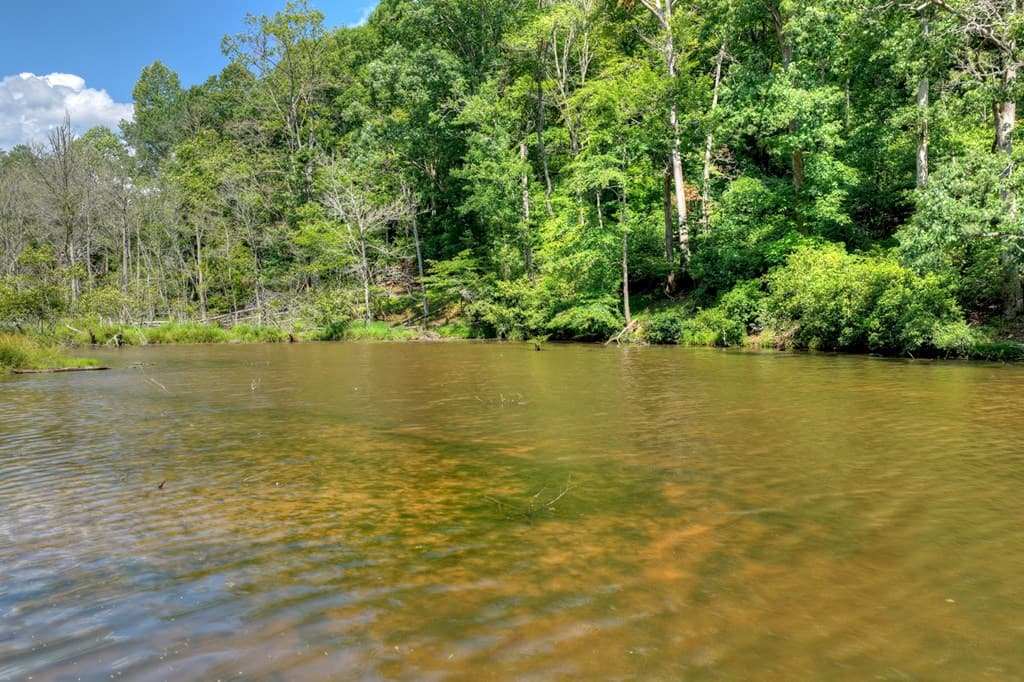 160 Adams Circle, Mineral Bluff GA 30559 - Photo