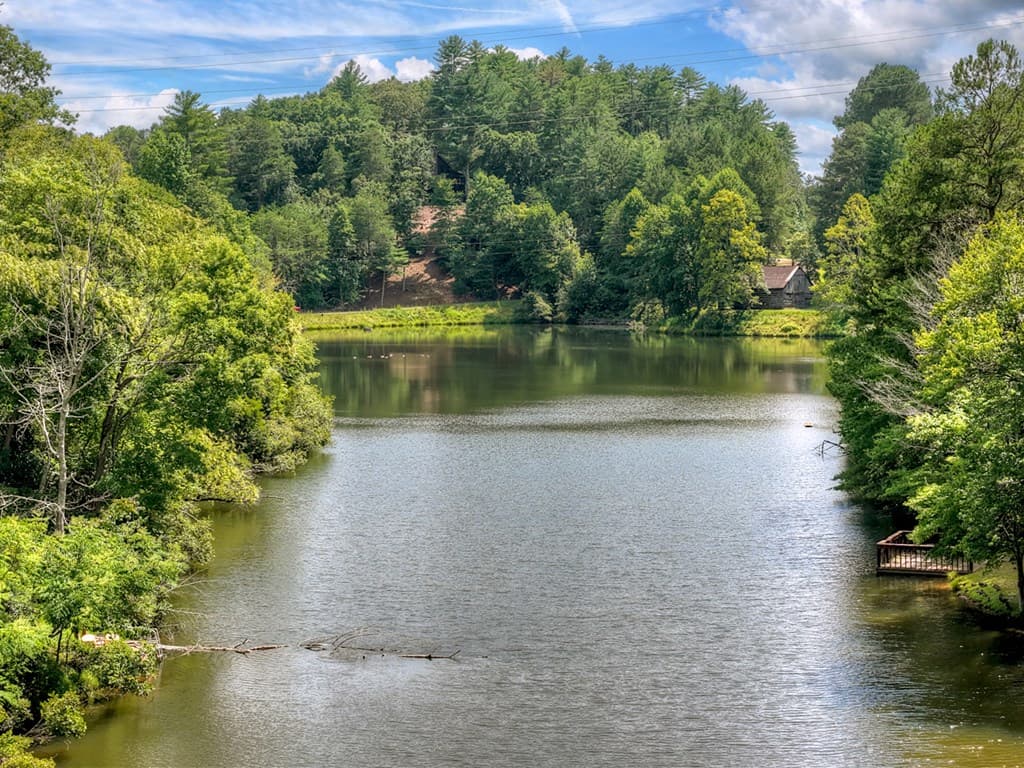 160 Adams Circle, Mineral Bluff GA 30559 - Photo
