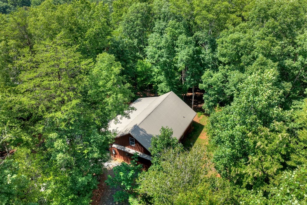 160 Adams Circle, Mineral Bluff GA 30559 - Photo