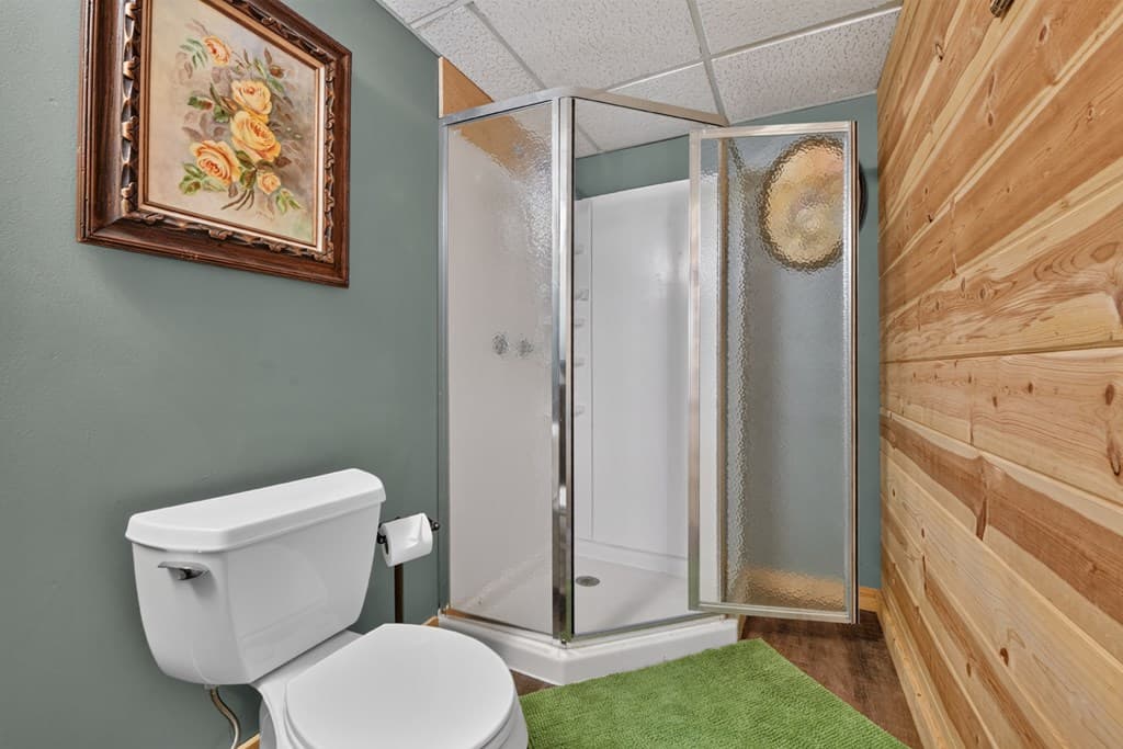 160 Adams Circle, Mineral Bluff GA 30559 - Photo