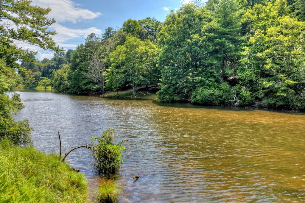 160 Adams Circle, Mineral Bluff GA 30559 - Photo