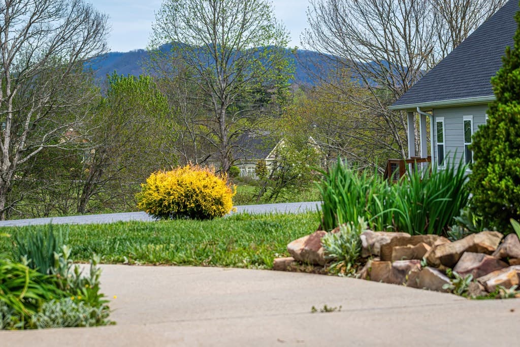 164 Owen Glen Drive, Blairsville GA 30512 - Photo
