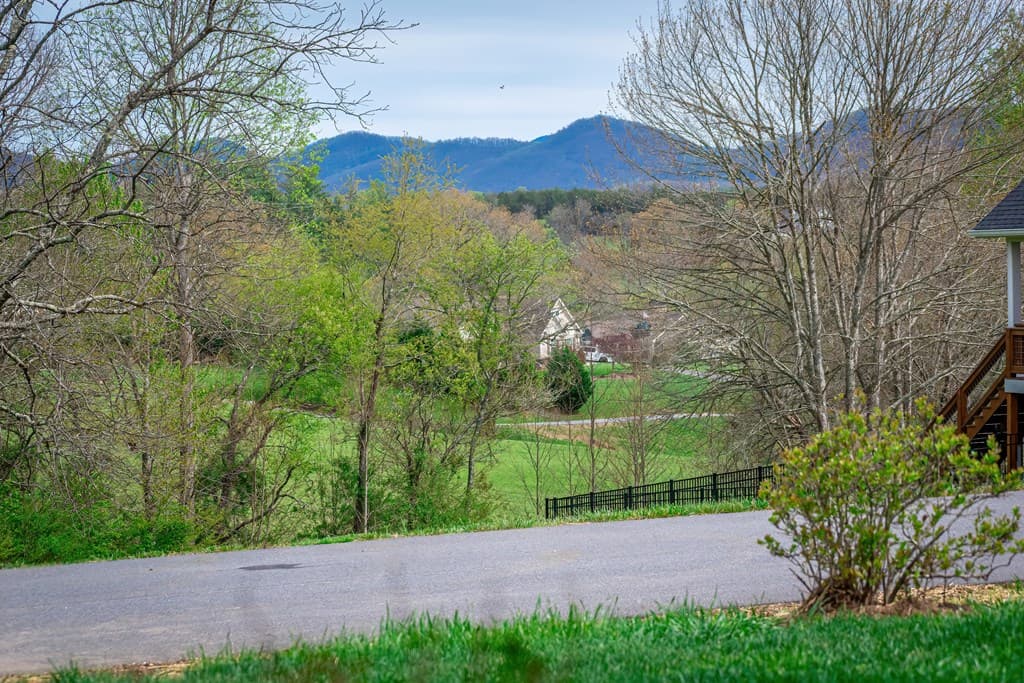 164 Owen Glen Drive, Blairsville GA 30512 - Photo