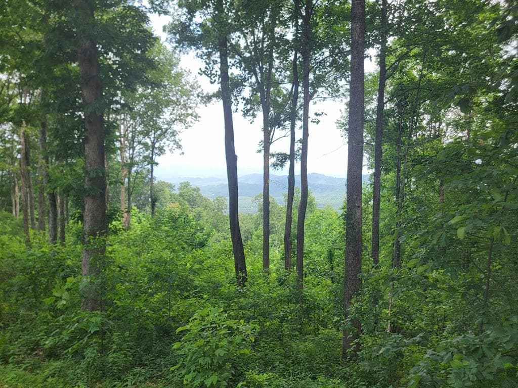 81 Hidden Mountain, Murphy 26906 - Photo