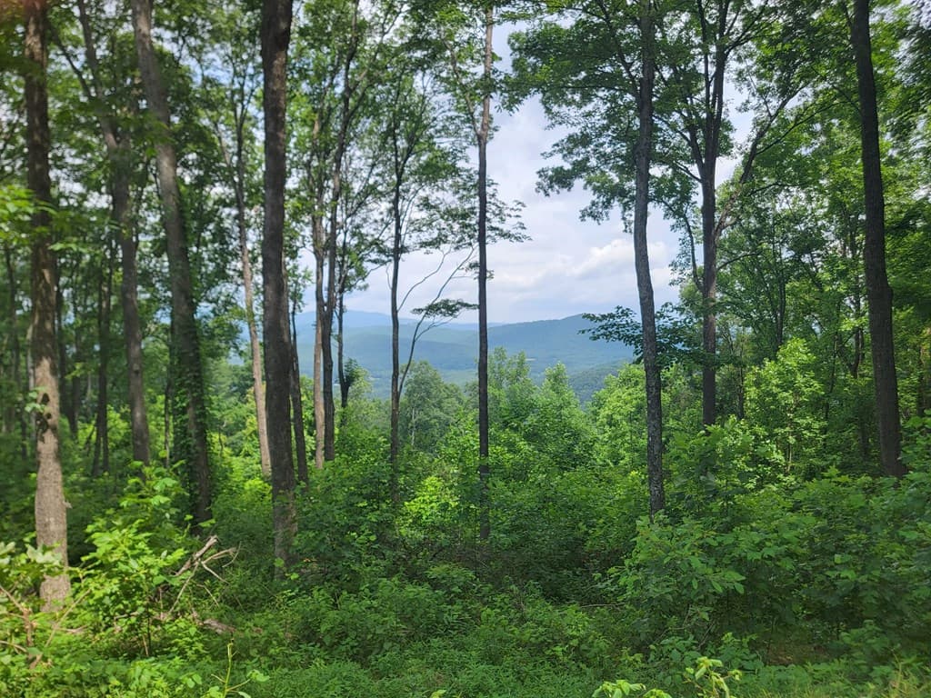 81 Hidden Mountain, Murphy 26906 - Photo