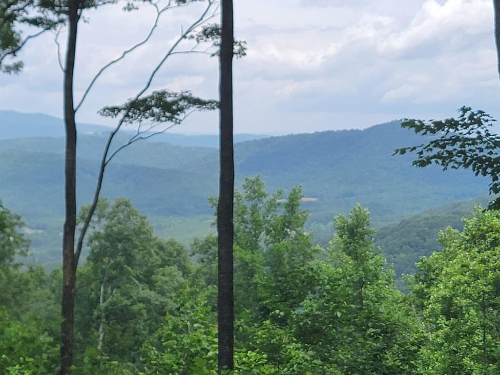 81 Hidden Mountain, Murphy 26906 - Primary photo