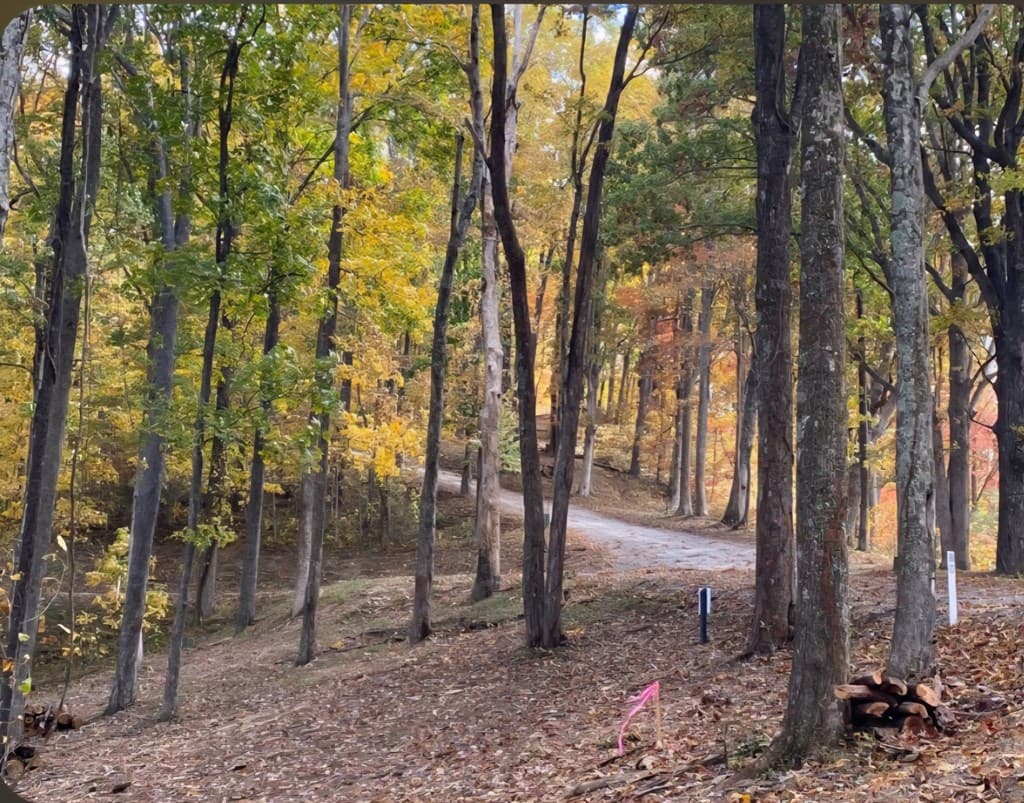 81 Hidden Mountain, Murphy 26906 - Photo
