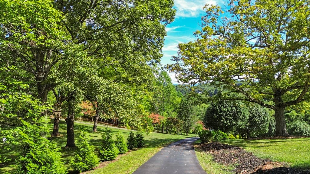 94 Patton Hill Road, Franklin NC 28734 - Photo