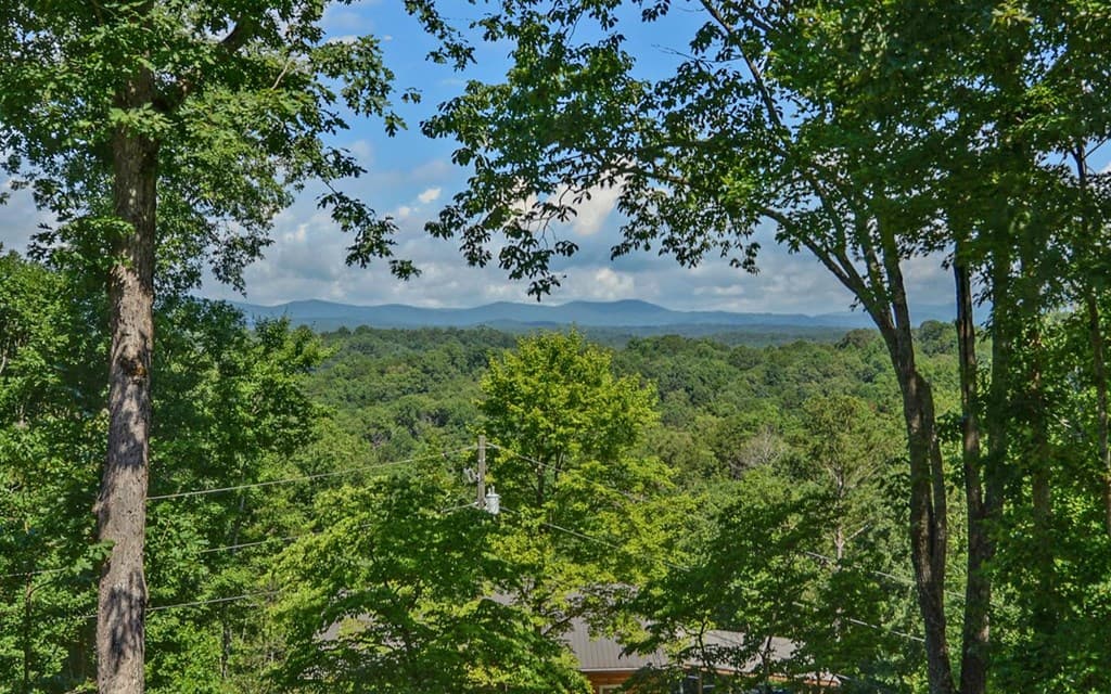 280 Cherokee Court, Ellijay GA 30540 - Photo