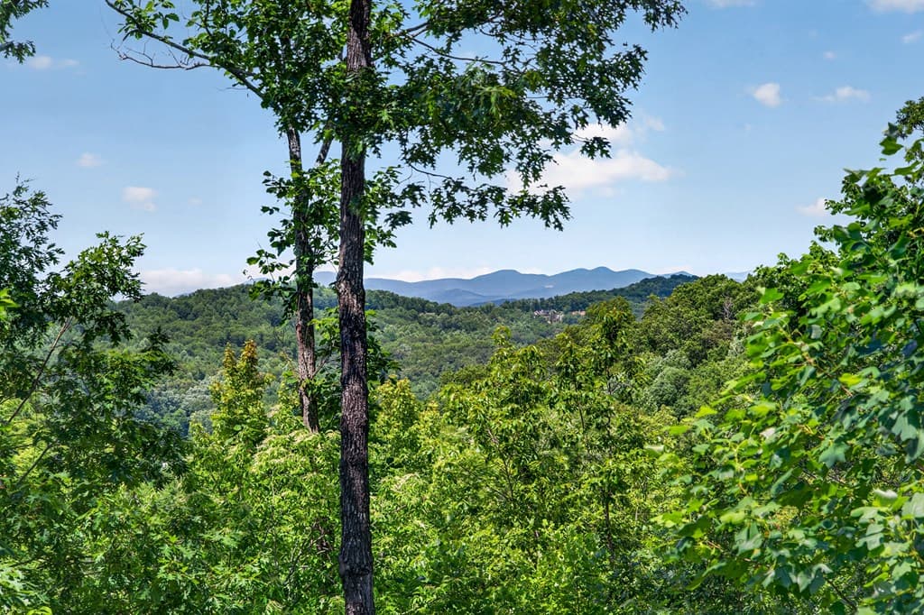573 Weaver Creek Way, Blue Ridge GA 30513 - Photo