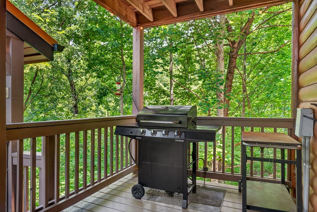 573 Weaver Creek Way, Blue Ridge GA 30513 - Photo