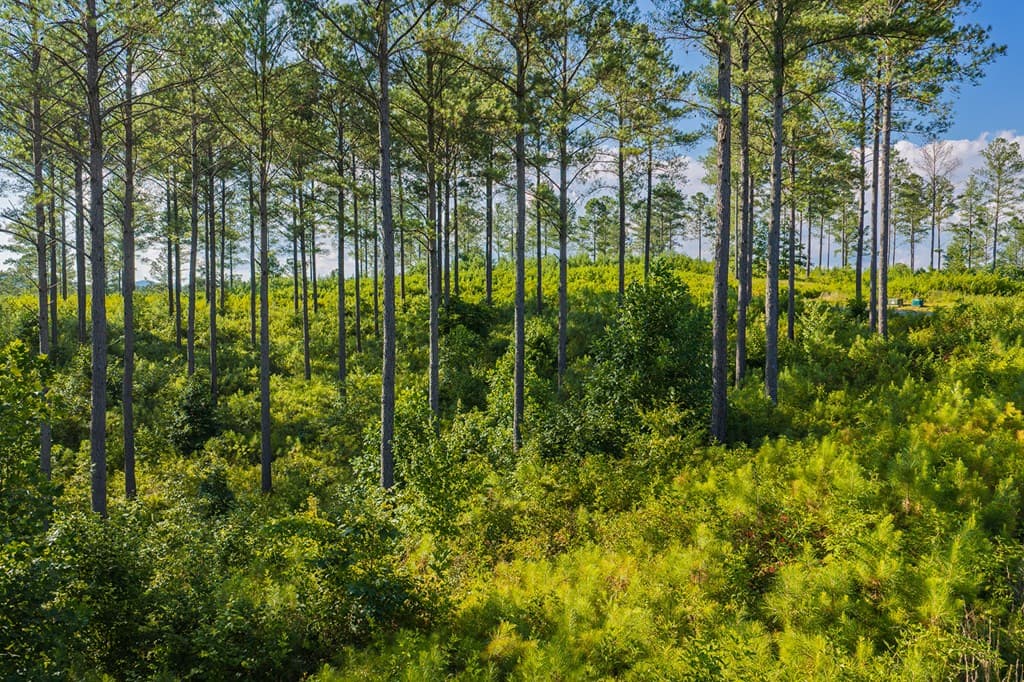 Lot 68 High River Road, Ellijay GA 30540 - Photo