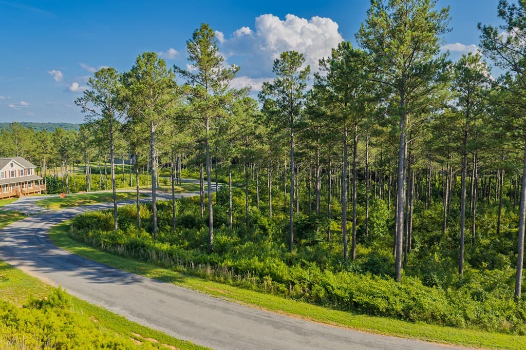 Lot 68 High River Road, Ellijay GA 30540 - Photo