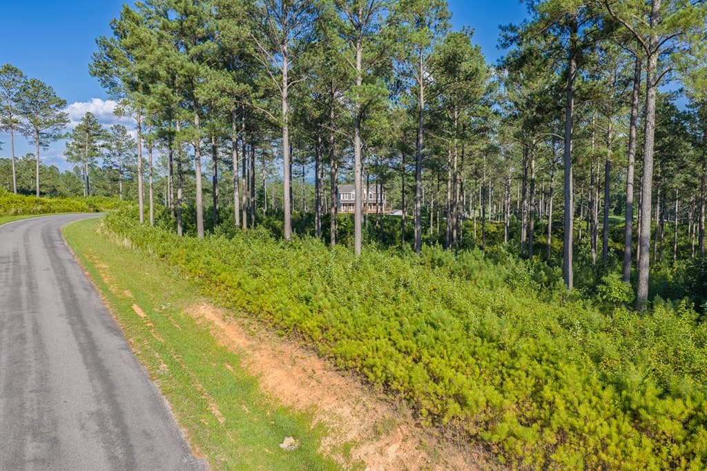 Lot 68 High River Road, Ellijay GA 30540 - Photo