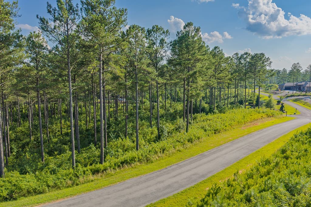 Lot 68 High River Road, Ellijay GA 30540 - Photo