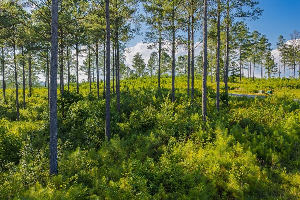 Lot 68 High River Road, Ellijay GA 30540 - Photo