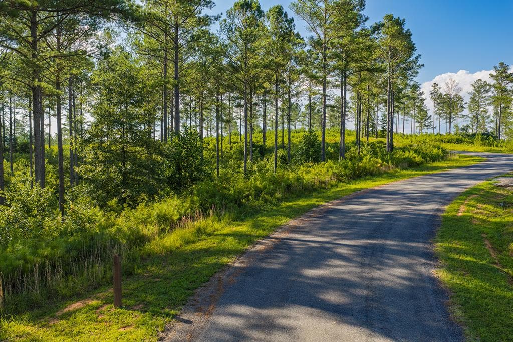 Lot 68 High River Road, Ellijay GA 30540 - Primary photo