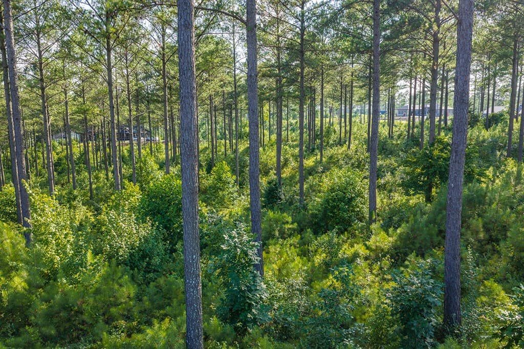 Lot 68 High River Road, Ellijay GA 30540 - Photo