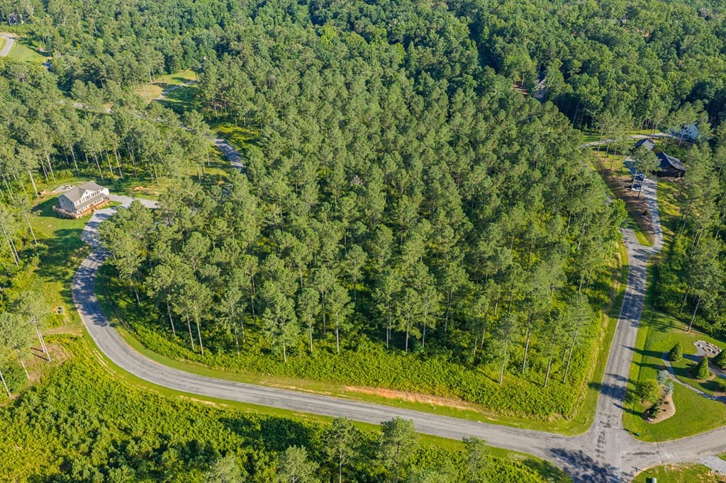 Lot 68 High River Road, Ellijay GA 30540 - Photo