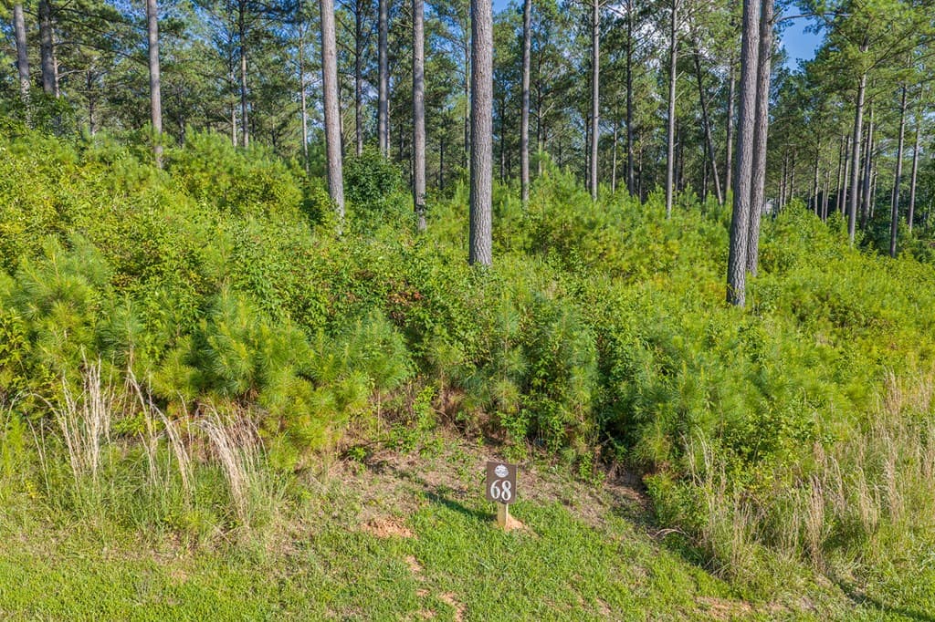 Lot 68 High River Road, Ellijay GA 30540 - Photo