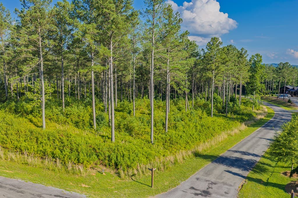 Lot 68 High River Road, Ellijay GA 30540 - Photo