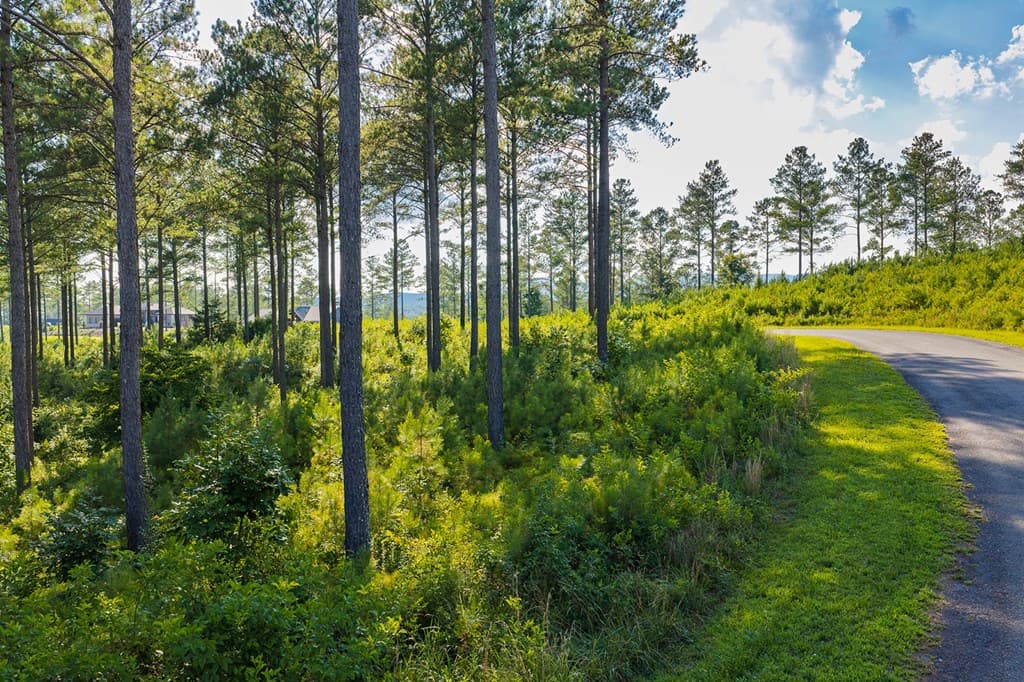 Lot 68 High River Road, Ellijay GA 30540 - Photo