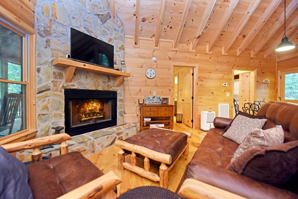 260 Jason Martin Circle, Blue Ridge GA 30513 - Photo