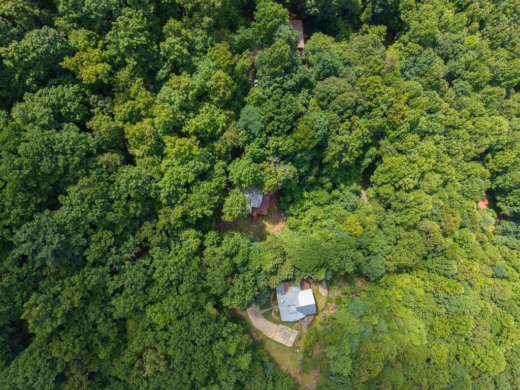 221 Wilson Lane, Blairsville GA 30512 - Photo
