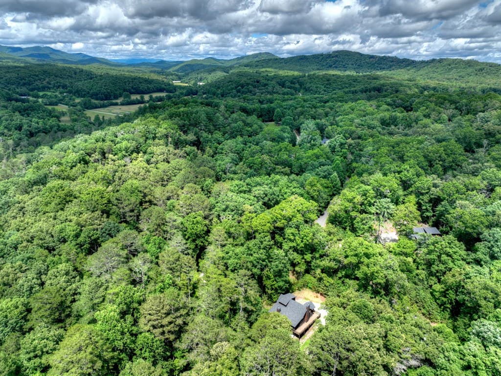 200 Forest View Lane, Mineral Bluff GA 30559 - Photo