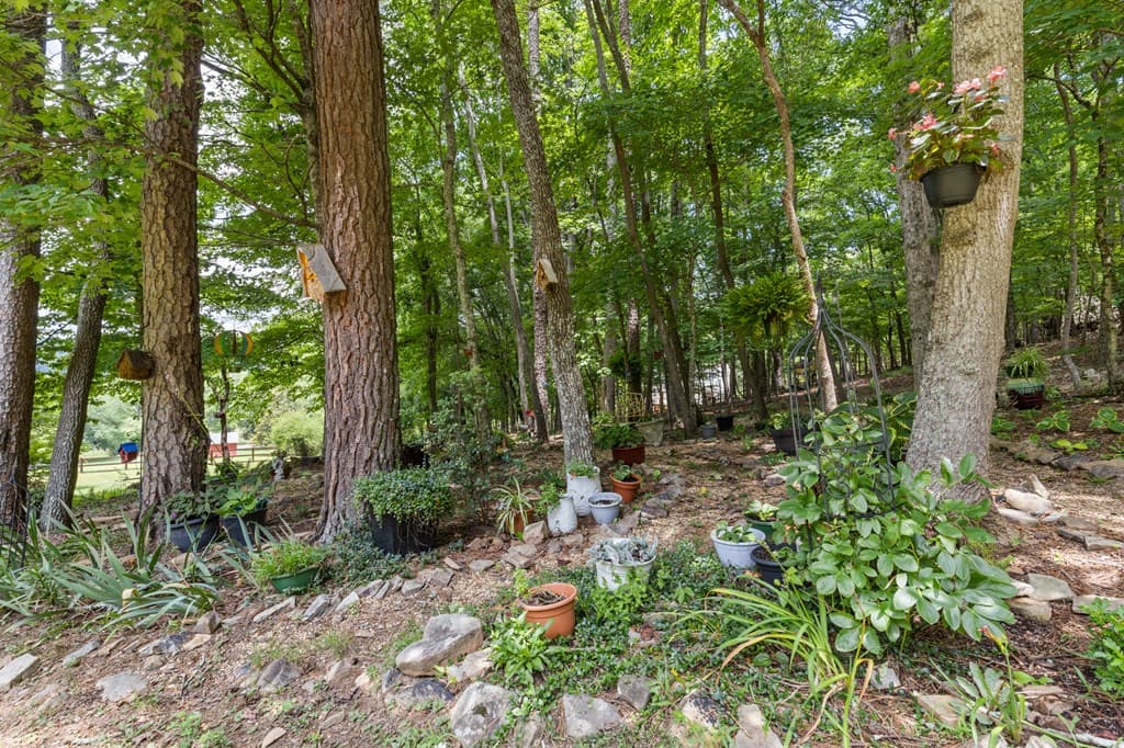 11690 Old Hwy 76, Morganton GA 30560 - Photo